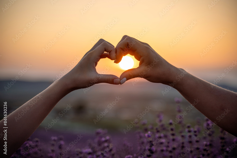 Two hands forming a heart shape in front of a purple field. The sun is setting in the background, creating a warm and romantic atmosphere. Two hands forming a heart shape in front of a purple field. The sun is setting in the background, creating a warm and romantic atmosphere.