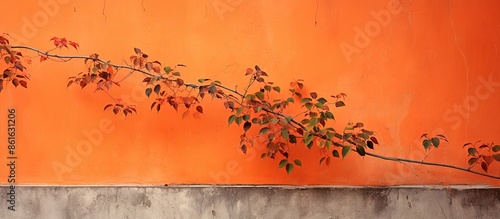 Tree leaves on vine with co...