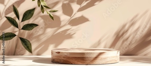Wooden podium with leaves a...
