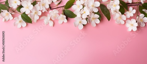 Pink background with jasmin...