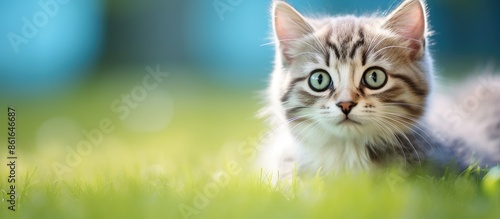 Copy space image of a cute ...