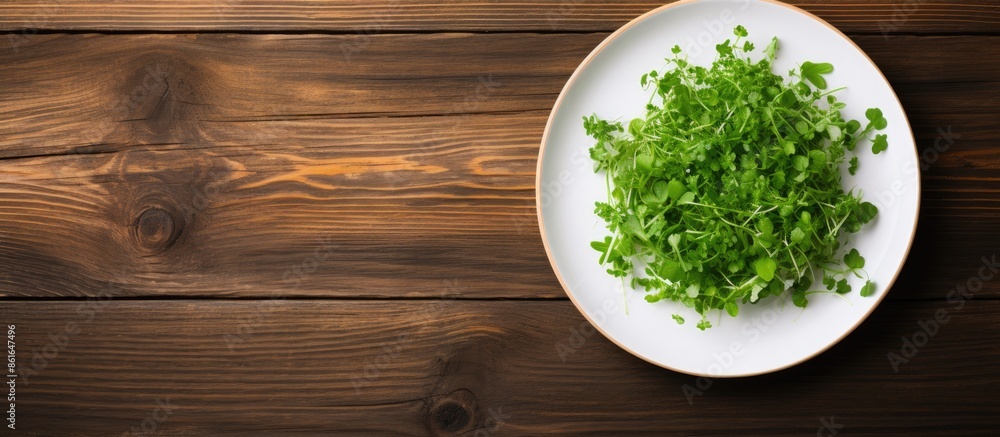 Top view of a white plate with a cress salad border on a wooden backdrop, featuring toned colors and copy space image. Top view of a white plate with a cress salad border on a wooden backdrop, featuring toned colors and copy space image.