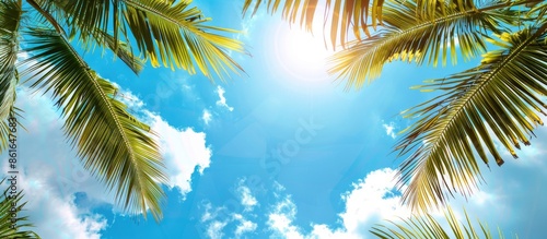 A scenic tropical setting w...