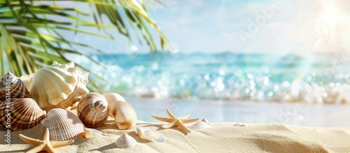 Sunny beach scene with shel...