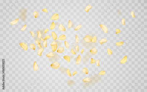Yellow falling rose or sunflowers petals.Transparent panoramic horizontal background.Amber flower spring template.