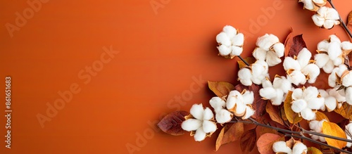 Top view of a flat lay arra...