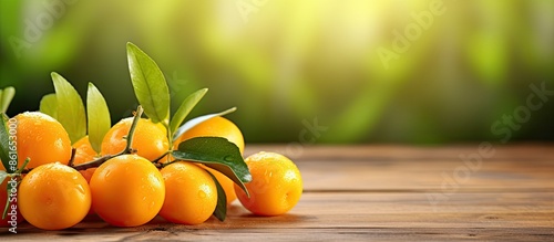 Ripe kumquats with leaves d...