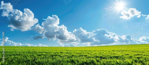 Scenic green field with flu...