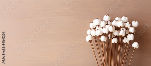 Wooden cotton bud arrangeme...