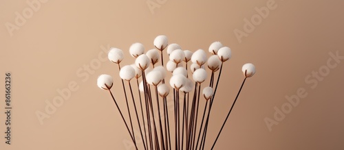 Wooden cotton bud arrangeme...