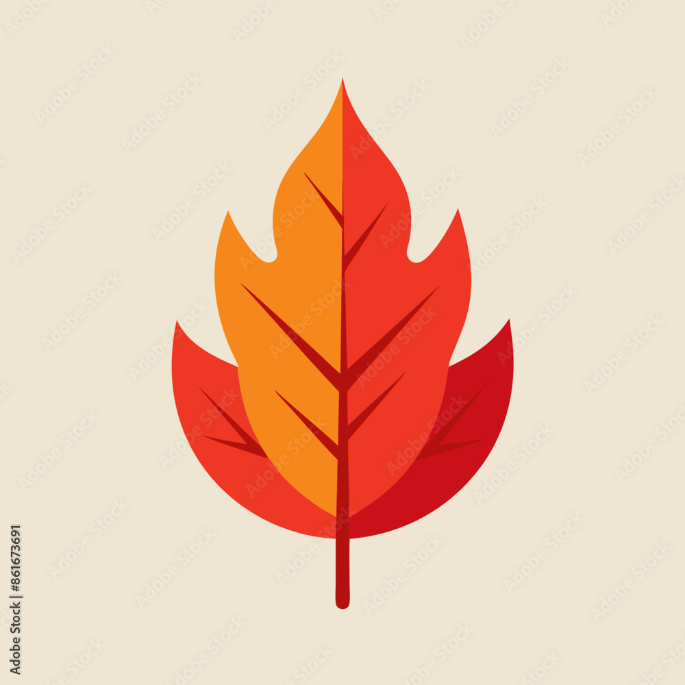 autumn leaves isolated on white autumn leaves isolated on white
