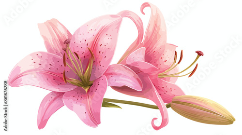Exotic pink flower bud. Realistic lily blossom flat v