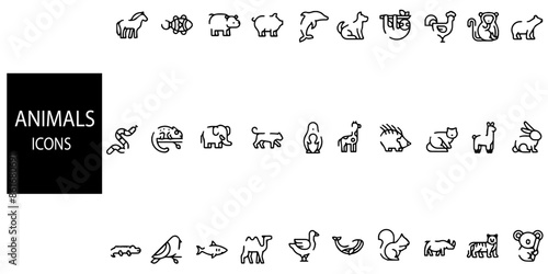Animal simple concept 44 icons set. Contains such horse,fish,dolphin,cook,tiger,bird,snake,crocodaile,rabbitand panda.Vector illustration.
