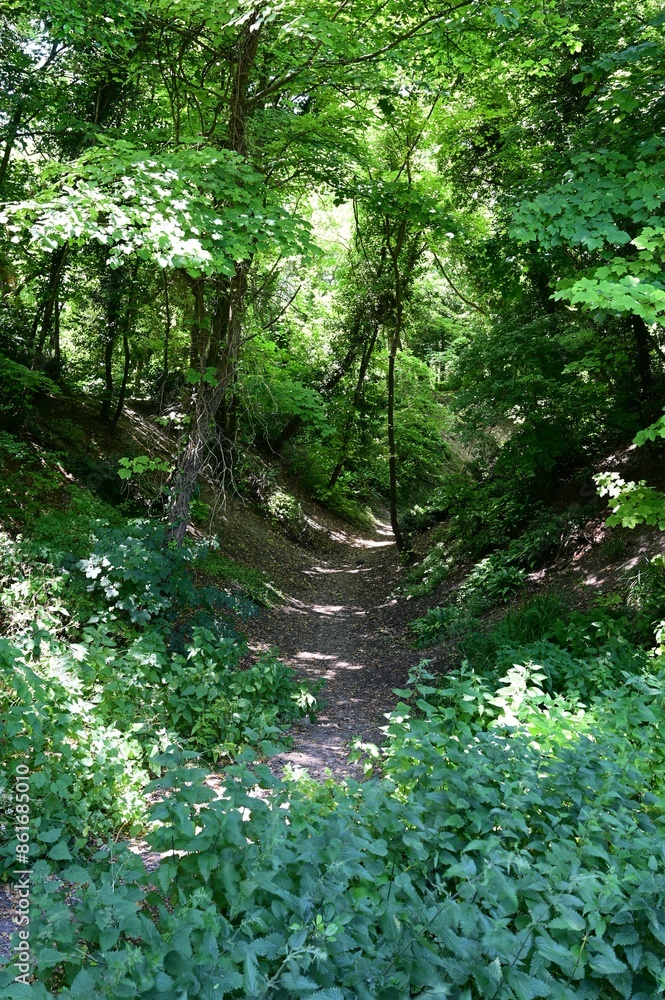 Fototapeta premium Country path walk at Bramber, West Sussex. 