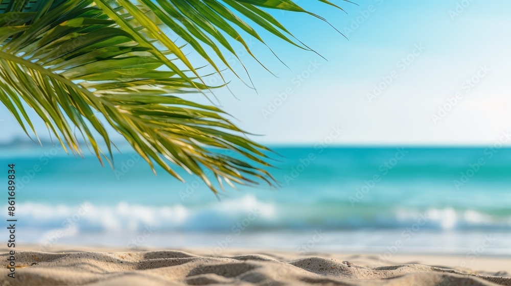 Fototapeta premium Palm Leaf and Sandy Beach