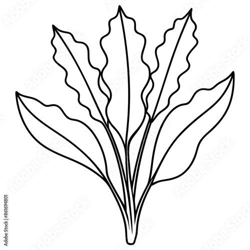 Hand-drawn, a basic sketch of a flower
