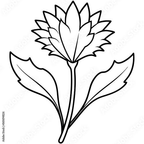 Hand-drawn, a basic sketch of a flower
