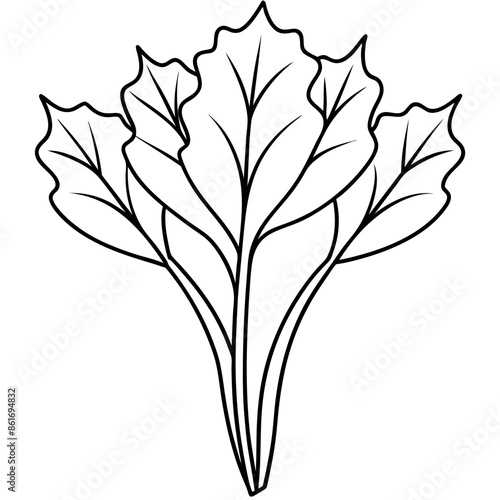 Hand-drawn, a basic sketch of a flower
