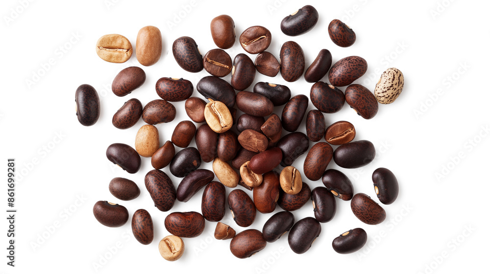 Beans variation shot from above isolated on a transparent background Beans variation shot from above isolated on a transparent background
