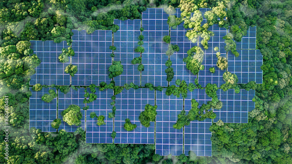 Fototapeta premium Solar panels installed in the green forest Clean alternative energy concept. Environment, solar energy, generator.