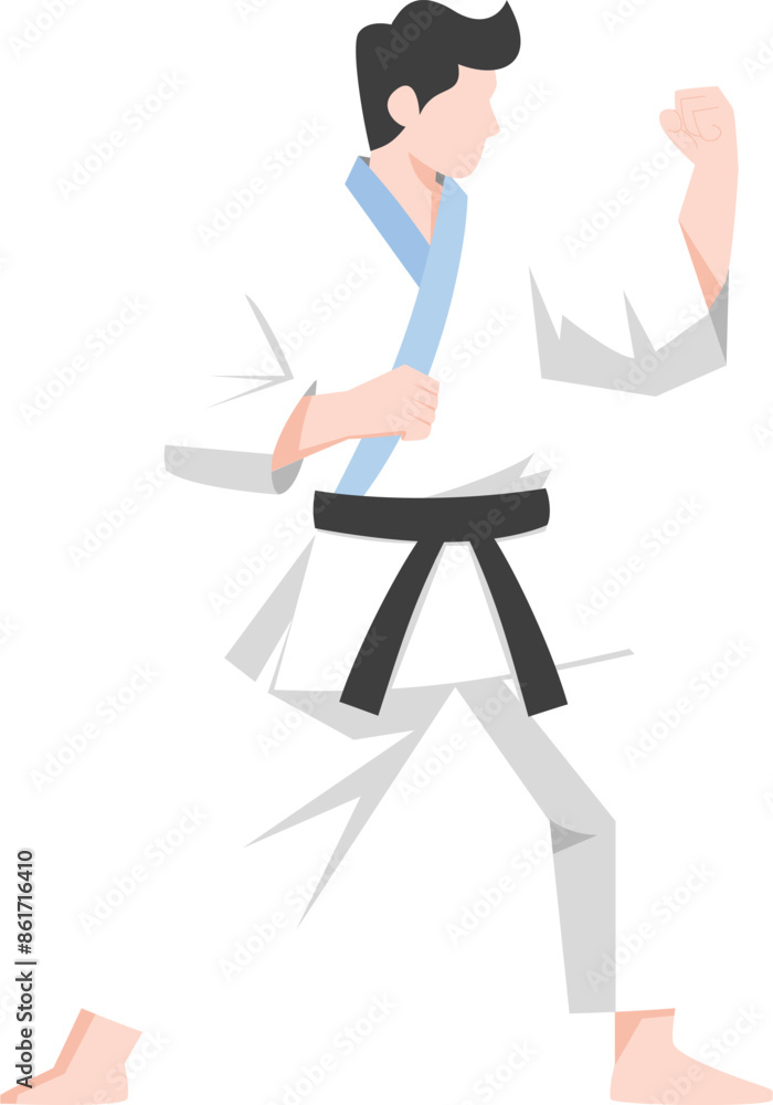 karate kung fu master Vector. karate moves illustration