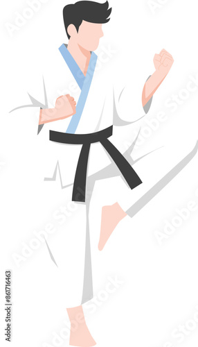 karate kung fu master Vector. karate moves illustration