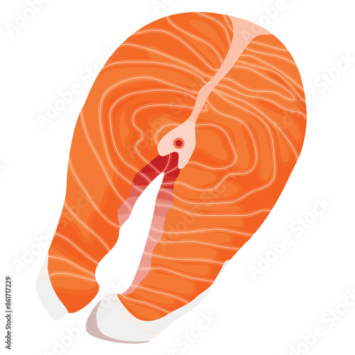 Raw Salmon Steak Filled Vector Illustration