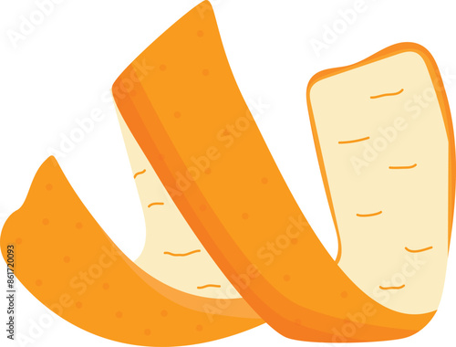 Mandarin Orange Peel Skin Vector Illustration