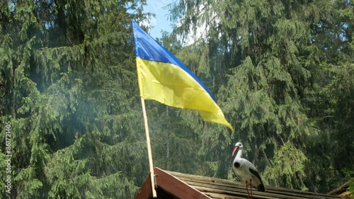 Wallpaper Mural yellow- blue flag of Ukraine on the house roof under wind on blue sky and forest background, outdoors Torontodigital.ca