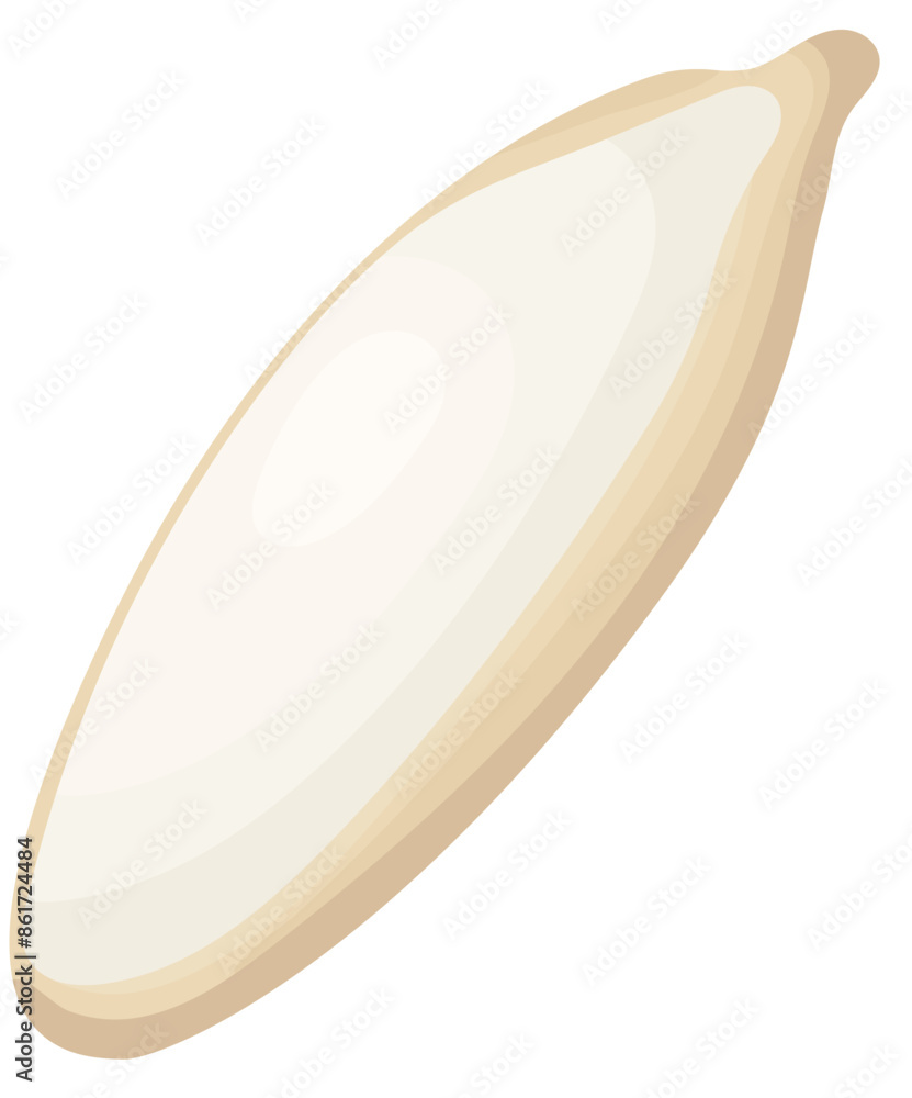 Single Dry Pumpkin Seed Illustration Single Dry Pumpkin Seed Illustration