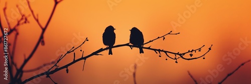 A beautiful sunset scene with two birds sitting on a branch facing each other, symbolizing companionship and nature's beauty.