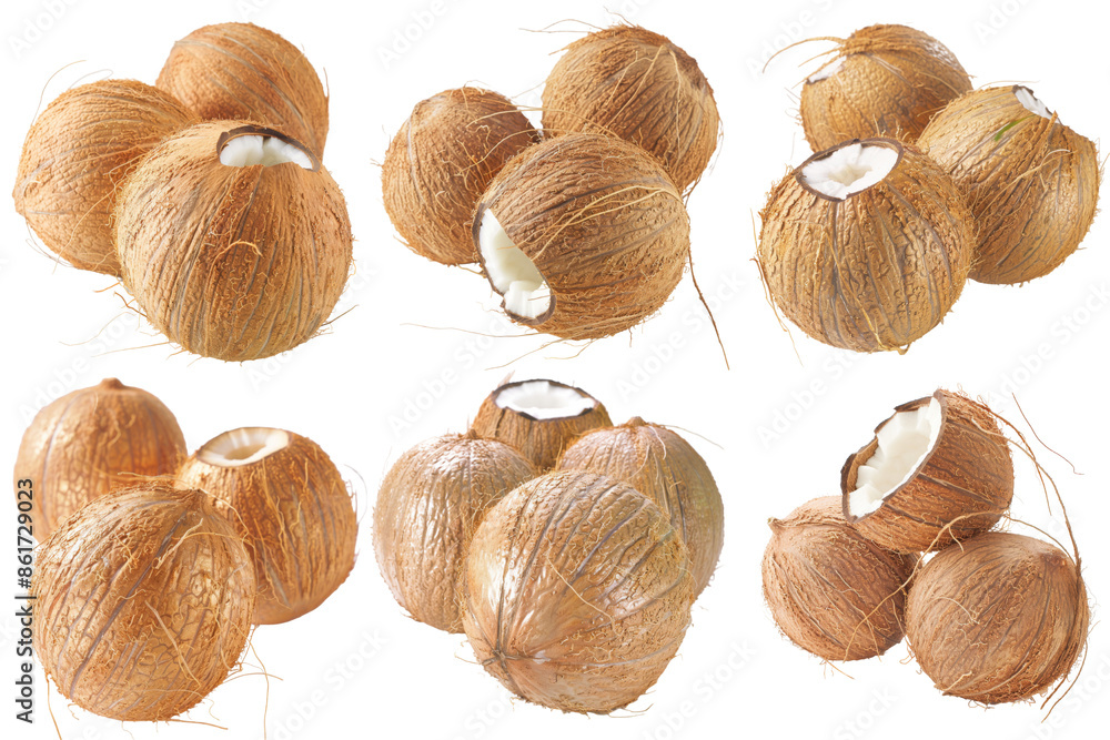 Realistic photo illustration of Coconut, isolated on transparent background Realistic photo illustration of Coconut, isolated on transparent background