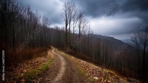 A road with trees in the background and a cloudy sky