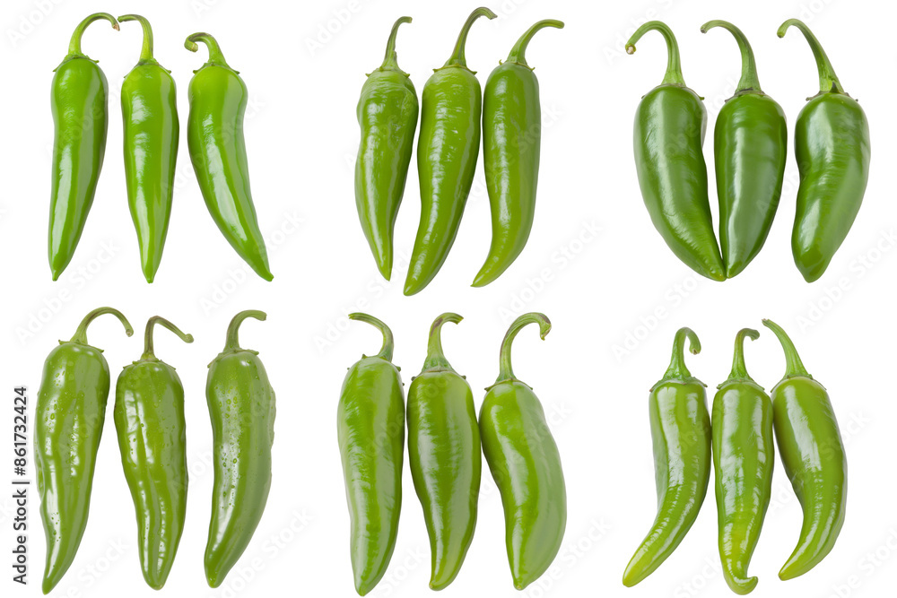 Green Pepper, fruit realistic Illustration. Realistic PNG file. Mockup template for artwork graphic design Green Pepper, fruit realistic Illustration. Realistic PNG file. Mockup template for artwork graphic design