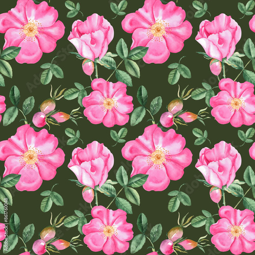 Dog rose Floral Watercolor seamless pattern on dark green background. Hand drawn botanical illustration. Rose hip flowers, buds, branches and berries. Can be used for fabric, textile, packaging prints