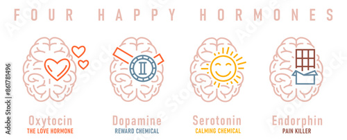 Four happy hormones. Dopamine, endorphin, serotonin, oxytocin.