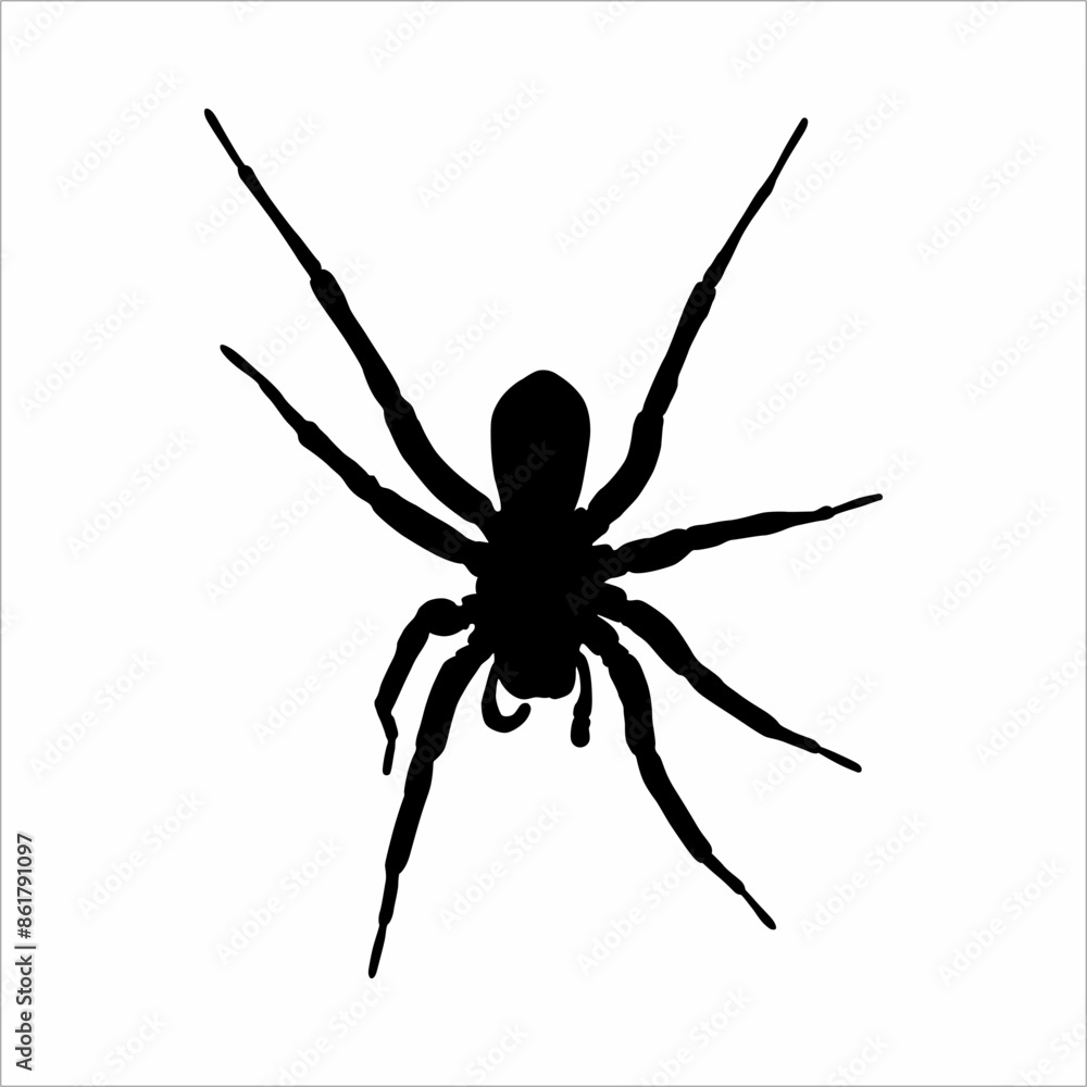 Silhouette of a spider Silhouette of a spider