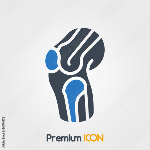Joint (knee) Icon