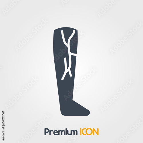 Saphenous vein Icon