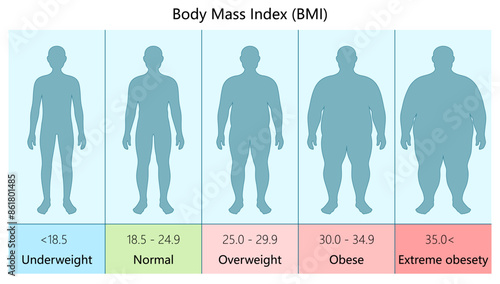Illustrative chart showing different BMI categories underweight to extreme obesity body mass index values diagram hand drawn schematic vector illustration. Medical science educational illustration