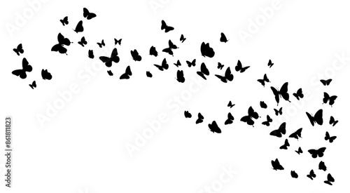 Flock of black butterflies silhouette flying on white background. Vector illustration