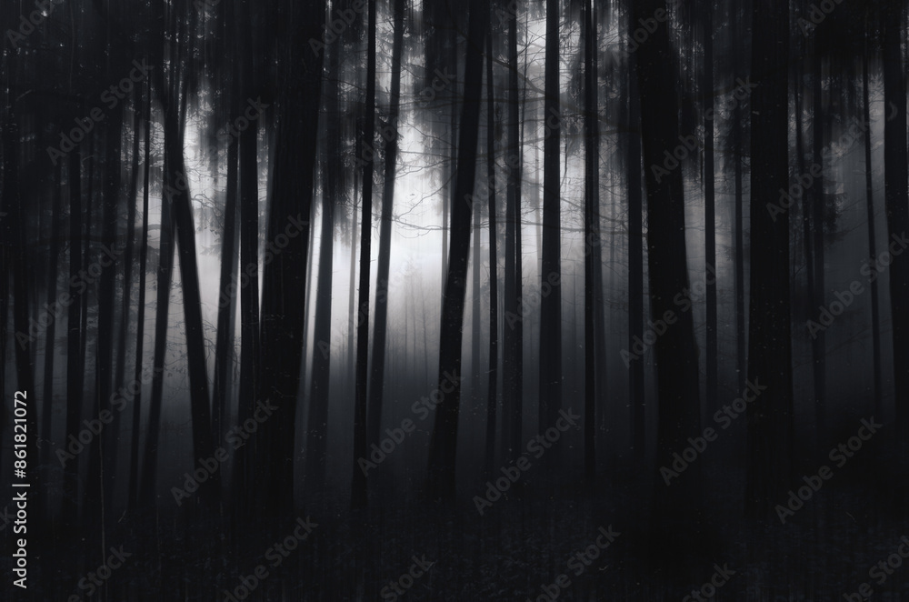 Fototapeta premium Fog in the woods with motion blur