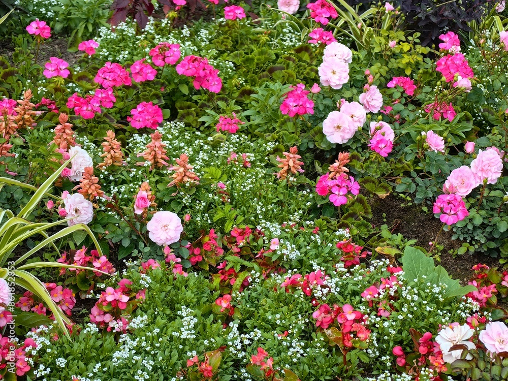 Flowerbed with flowers Flowerbed with flowers