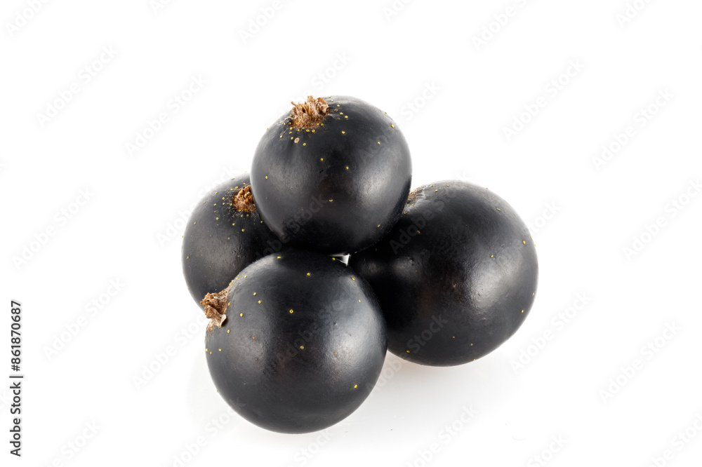 Black ripe currant isolated on a white background. Black currants isolated on a white background. Ripe berries. Black ripe currant isolated on a white background. Black currants isolated on a white background. Ripe berries.