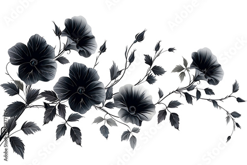 Fototapeta Naklejka Na Ścianę i Meble -  hand painted black and white peonies arrangement illustration isolated on a white background. 