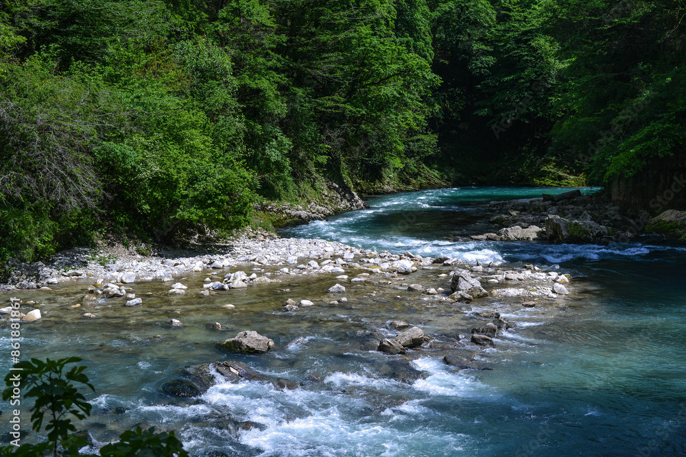 colorful landscape of the mountain stream in the forest colorful landscape of the mountain stream in the forest