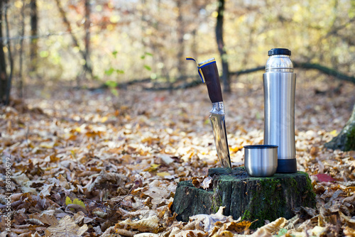 Wallpaper Mural Thermos and hunting knife. The concept of tourism, survival and hunting in the autumn in forest. a thermos of tea, a cup and a knife, on an old tree stump. dry leaves in the park. rest at nature. Torontodigital.ca