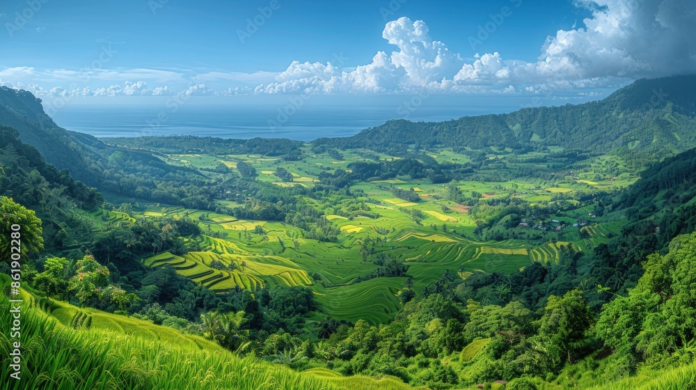 Fototapeta premium A panoramic view of the sprawling rice paddies of Lombok Island, Indonesia, painted in a vibrant palette of greens, yellows, and browns, stretching towards the horizon.
