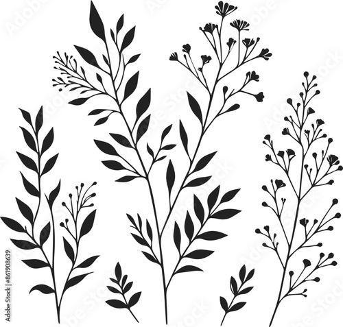 Classic Flower Ornament Vector Illustration Pack