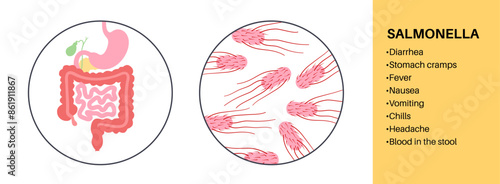 .Salmonella Typhimurium Cells